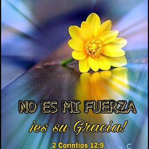 Meet your Posher, Tary a.